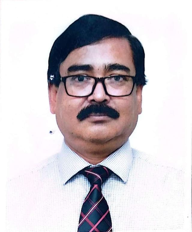 Mr. Mahamudul Ameen Masud